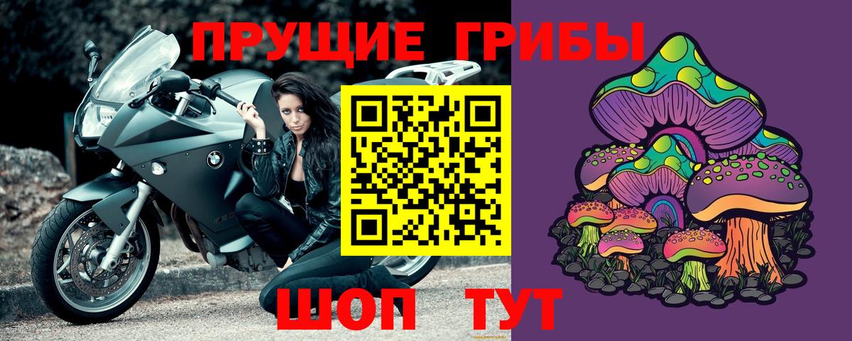 Нововоронеж  купить наркотик  Вход с VPN  Псилоцибиновые грибы Psilocybine cubensis 