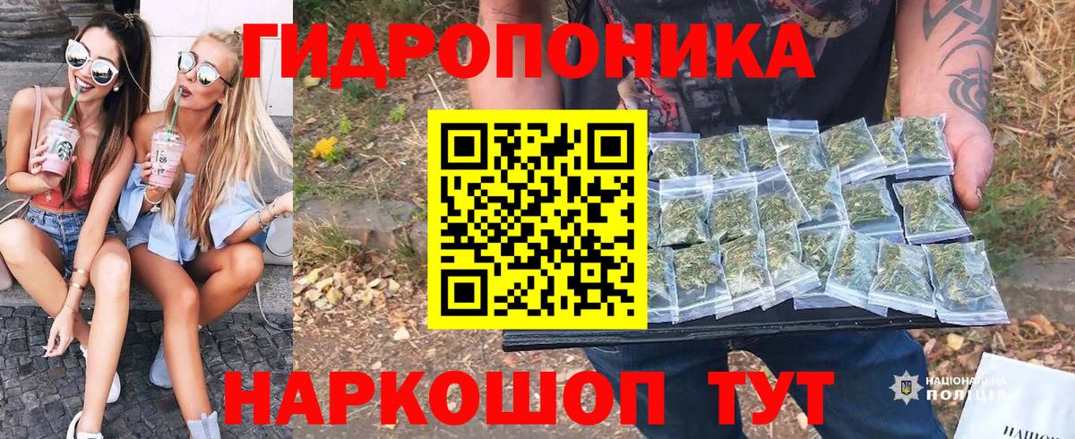 Бошки Шишки конопля Нововоронеж